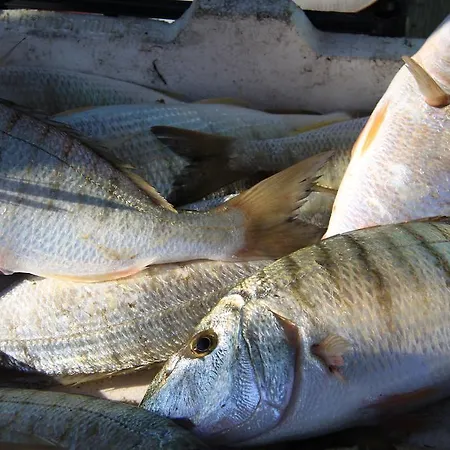 Il Pescatore * Marinella di Selinunte